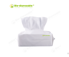 Antiseptic Wipe