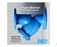 Y Type Strainer