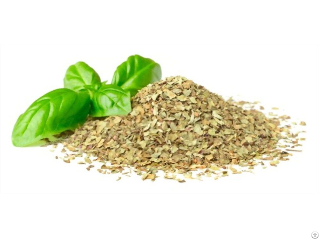 Basil Herb