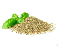 Basil Herb