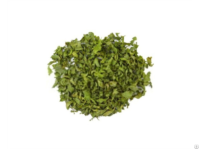 Celery Herb