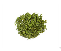 Celery Herb