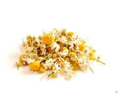 Chamomile Flower