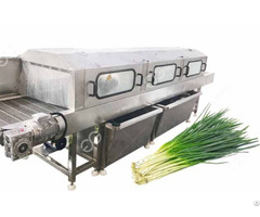 Automatic Green Onion Washing Machine For Long Leafy Vegetables