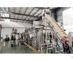 Complate Aseptic Mango Pulp Processing