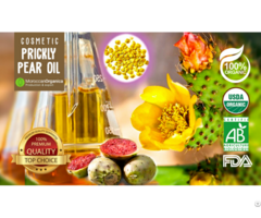 Organic Prickly Pear Seed Oil Morocco