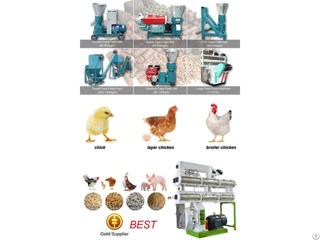 The Best Formula For Making Broiler Chicken Feed