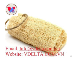 High Quality Luffa Sponge From Viet Nam