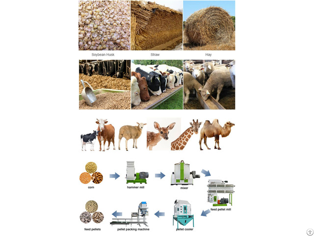 Ruminant Animal Feed Production Business Plan
