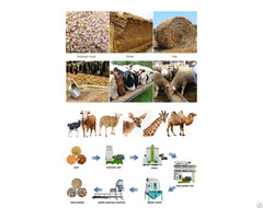 Ruminant Animal Feed Production Business Plan