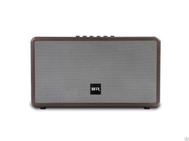 Bluetooth Live Speaker