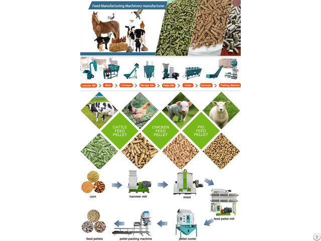 Build Your Own Sugarcane Bagasse Pellet Plant