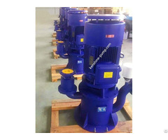 Wfb Non Seal Automatic Self Priming Vertical Pump