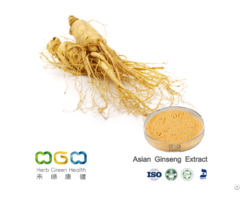 Panax Ginseng Root Extract 1 60 Percent Ginsenosides