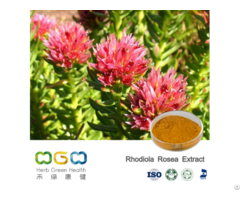 Rhodiola Rosea Extract Rosavins 3 Percent  Salidroside 1 Percent 