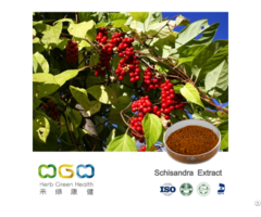 Schisandra Extract