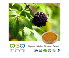 Organic Siberian Ginseng Extract 0 8 Percent  Eleutherosides B E