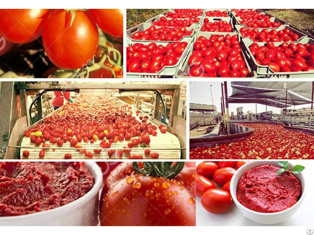 Stainless Steel Tomato Paste Production Lines