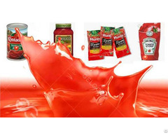 Automatic Tomato Paste Line Cost