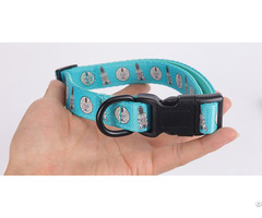 Pets Collar