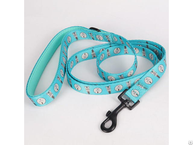 Okeypets Dog Leash