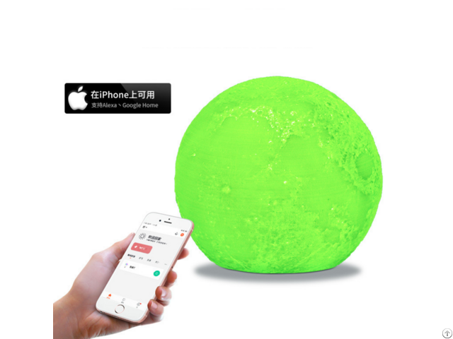 Alexa Voice Control Wifi Mobile Phone App Ball Light