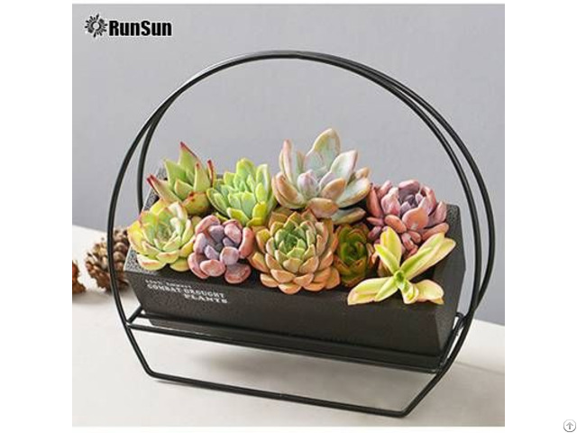 Https Www Runsun Trans Com Product Succulent Plant Pots Strawberry