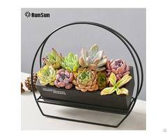 Https Www Runsun Trans Com Product Succulent Plant Pots Strawberry