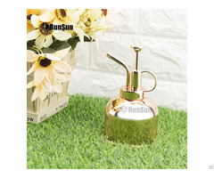 Indoor Plant Spray Bottle For Garden Rose Gold