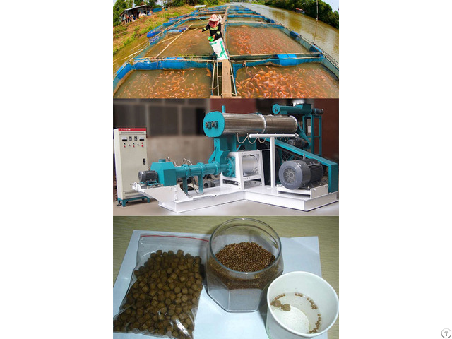 Fish Feed Extruder Machine Can Make Floating Food Pellets