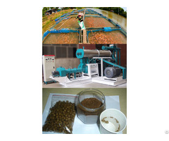 Fish Feed Extruder Machine Can Make Floating Food Pellets