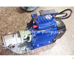 Portable Stainless Steel Gear Oil Pump