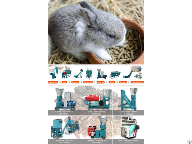 Animal Feed Pellet Mill Machine Make Rabbit Pellets