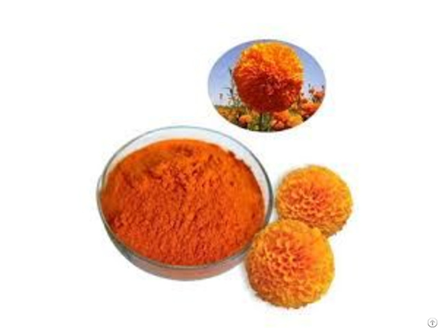 Marigold Extract Lutein 10 Pct  20 Pct  40 Pct