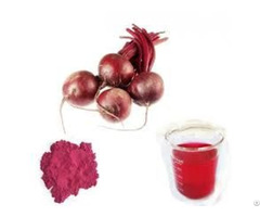 Red Beet Extract Powder