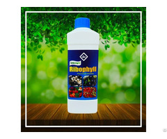 Ribophyll Plant Growth Promoter