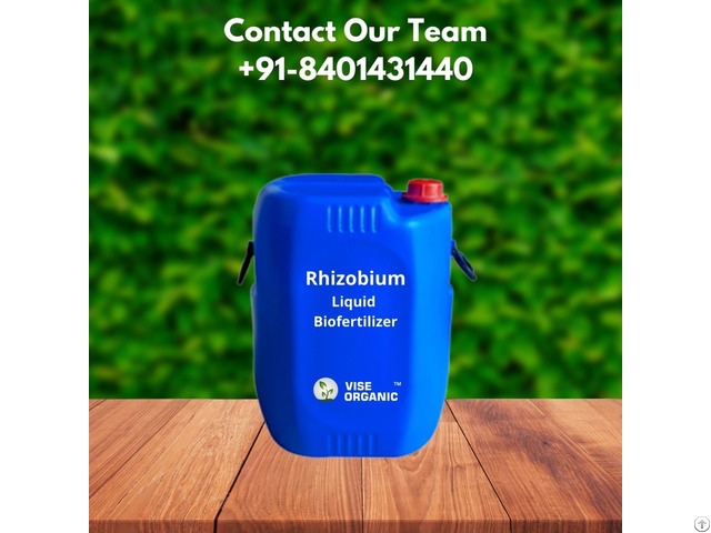 Rhizobium Biofertilizer Liquid Based