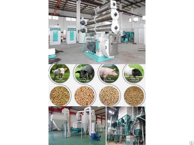 Poultry Feed Pellet Mill Machine Feeding Pig With Pellets