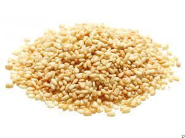 Sortex Sesame Seeds Product