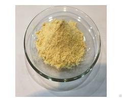 Durian Powder