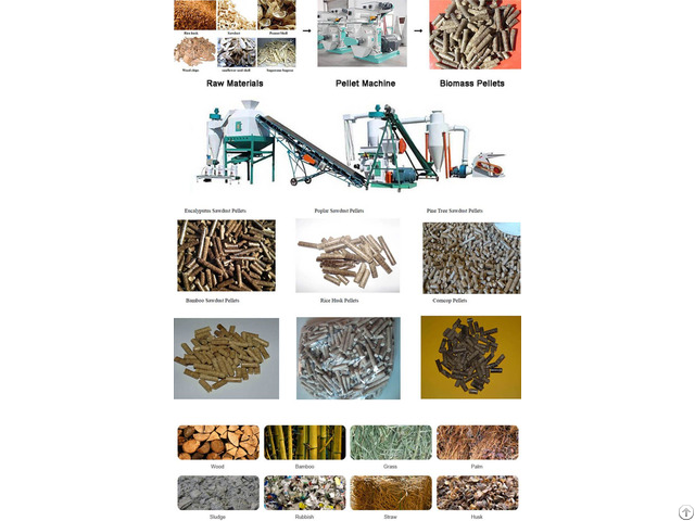 Industrial Ring Die Biomass Wood Pellet Mill Machine