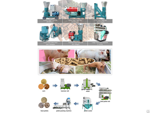 Pig Feed Pellet Production Machinery