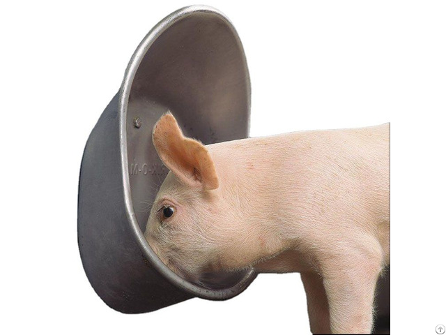 Anti Rust Long Service Piglets Drinking Water Bowl With Nipple