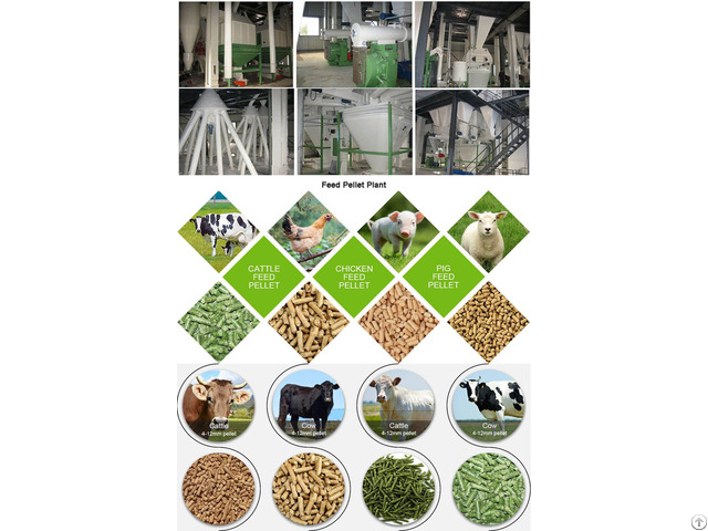 Animal Feed Production Equipment Start A Pellet Plant