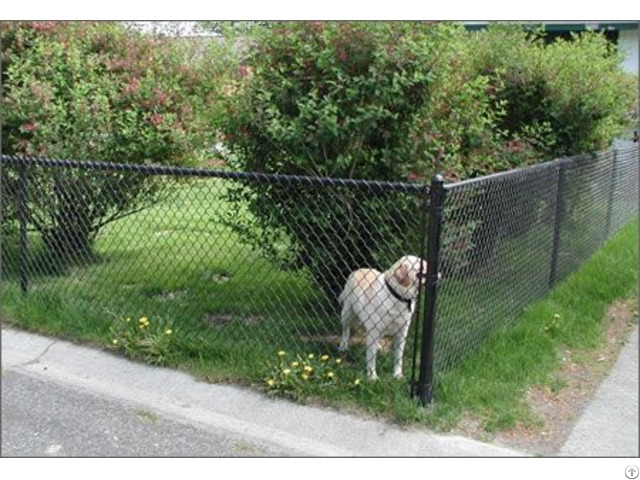 Chain Link Pet Mesh Panels For Run Fencing And Dog Kennels