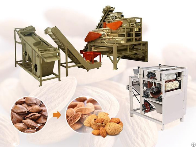 Apricot Kernel Peeling Machine