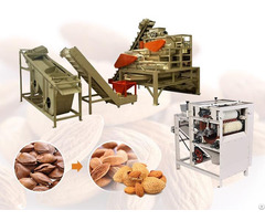 Apricot Kernel Peeling Machine