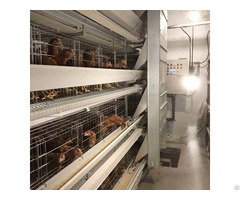 H Type Chicken Layer Cage