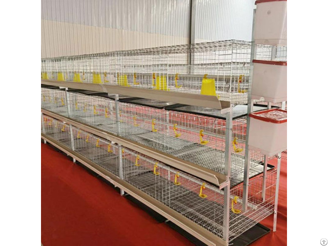 H Type Chicken Broiler Cage