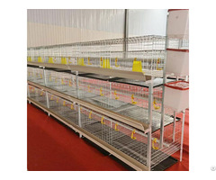 H Type Chicken Broiler Cage